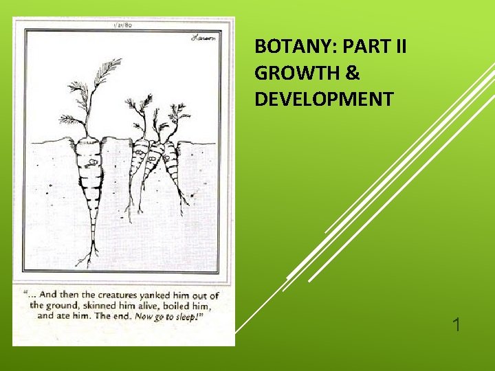 BOTANY: PART II GROWTH & DEVELOPMENT 1 