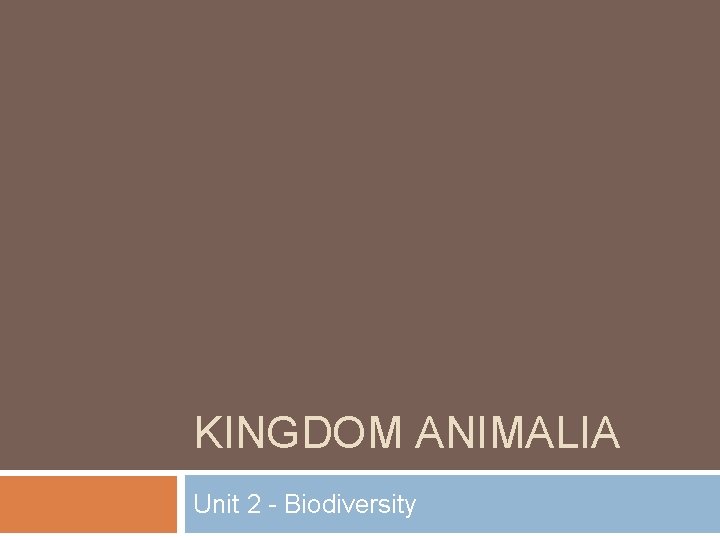 KINGDOM ANIMALIA Unit 2 - Biodiversity 