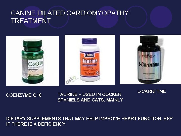 CANINE DILATED CARDIOMYOPATHY: TREATMENT COENZYME Q 10 TAURINE – USED IN COCKER SPANIELS AND