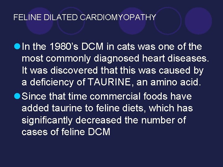 FELINE DILATED CARDIOMYOPATHY l In the 1980’s DCM in cats was one of the