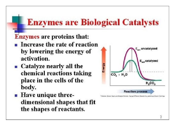 Enzymes 