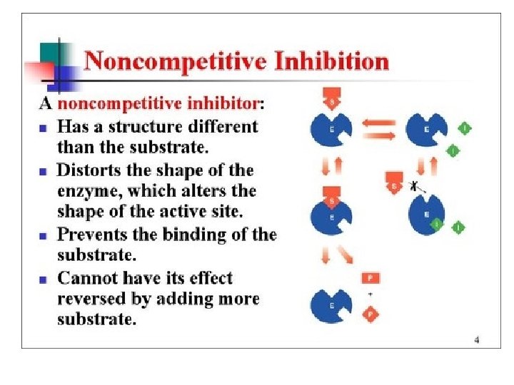 Enzyme Inhibitors • Noncompetitive 