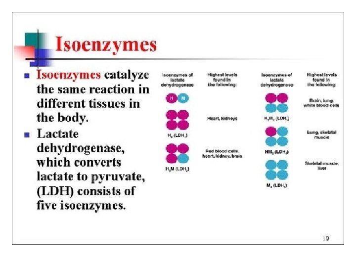 Enzyme Inhibitors 