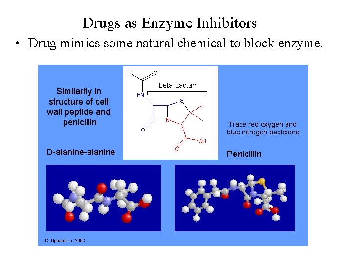 Drugs as Enzyme Inhibitors • Drug mimics some natural chemical to block enzyme. 