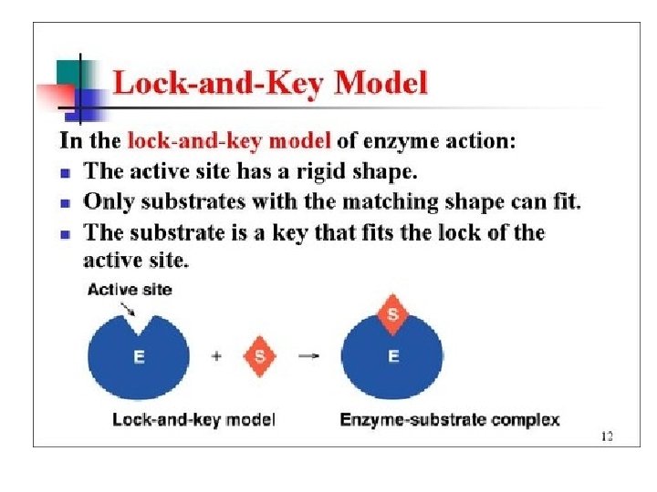 Enzymes • Lock and Key Analogy: lock = enzyme, key = substrate. 