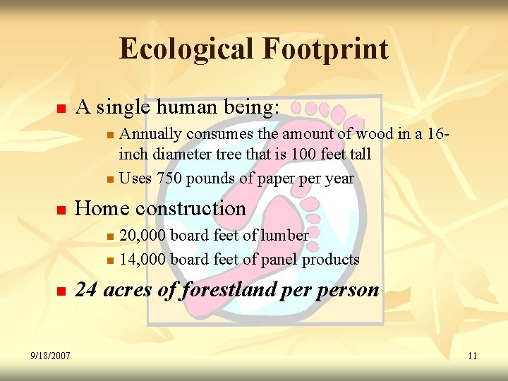 Ecological Footprint n A single human being: Annually consumes the amount of wood in