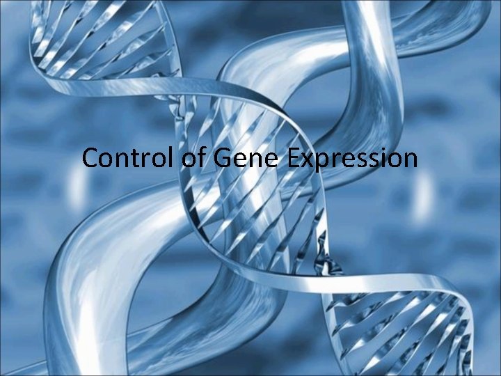 Control of Gene Expression 