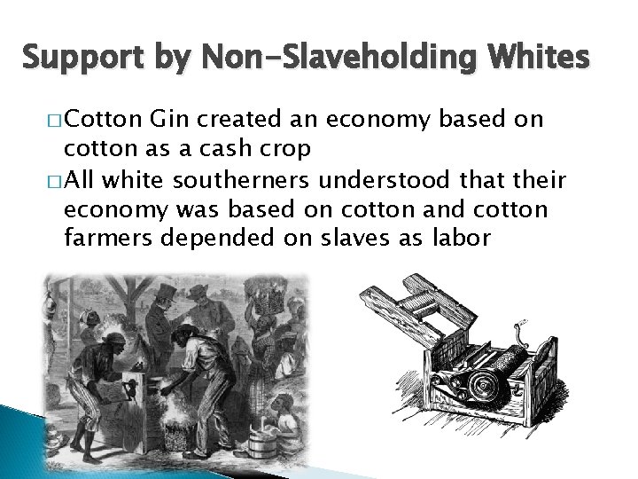 Support by Non-Slaveholding Whites � Cotton Gin created an economy based on cotton as
