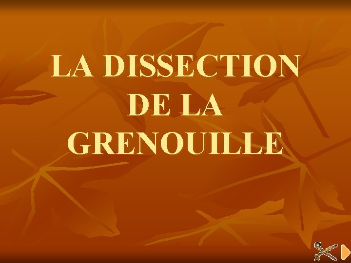 LA DISSECTION DE LA GRENOUILLE 