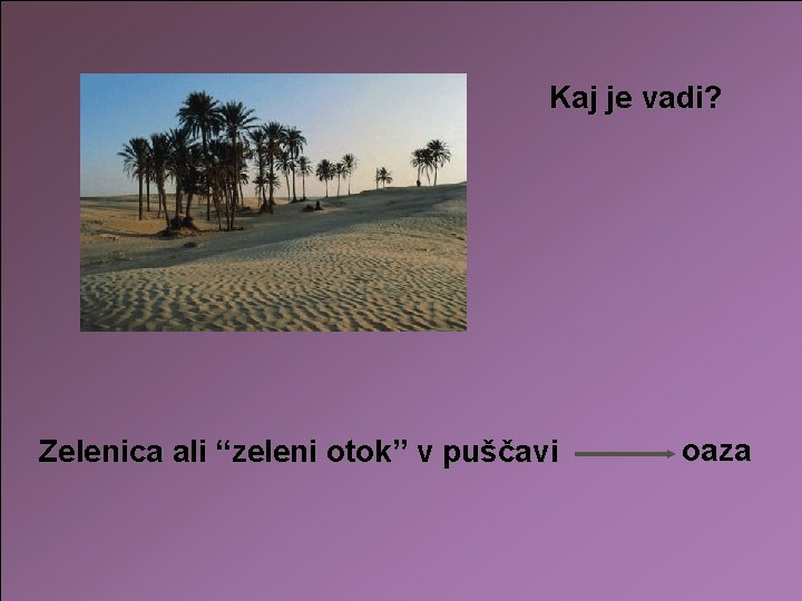 Kaj je vadi? Zelenica ali “zeleni otok” v puščavi oaza 