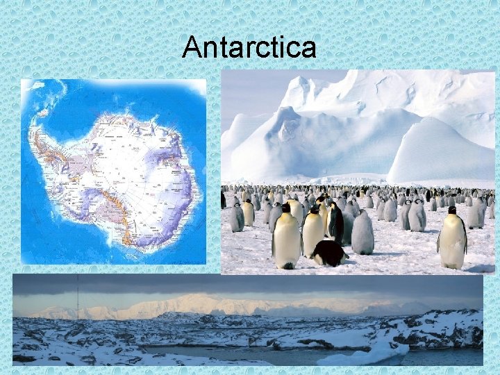 Antarctica 