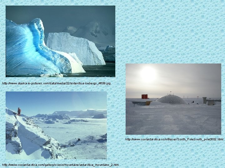 http: //www. alaska-in-pictures. com/data/media/22/antarctica-icebergs_4608. jpg http: //www. coolantarctica. com/Bases/South_Pole/south_pole 0002. html http: //www. coolantarctica.