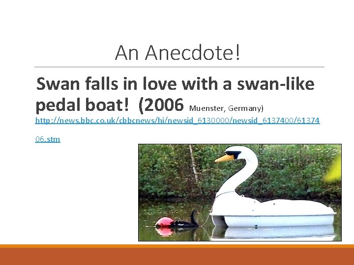 An Anecdote! Swan falls in love with a swan-like pedal boat! (2006 Muenster, Germany)