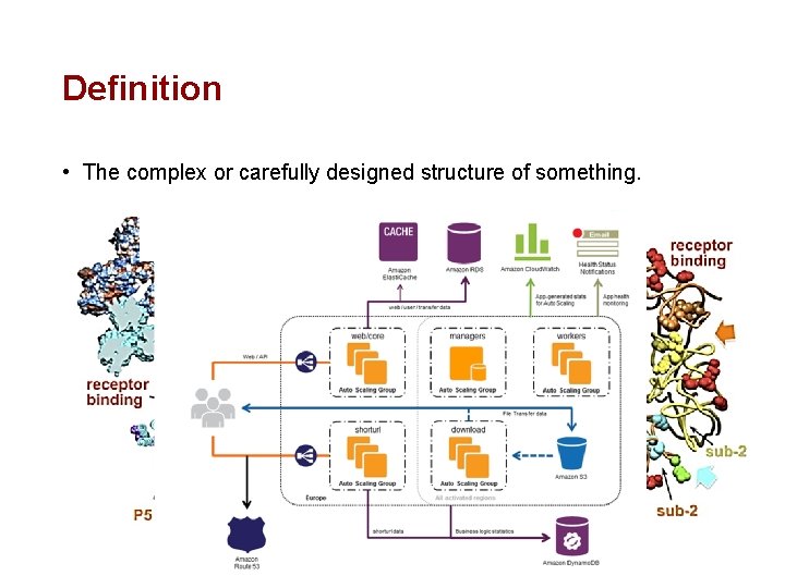 Definition • The complex or carefully designed structure of something. 