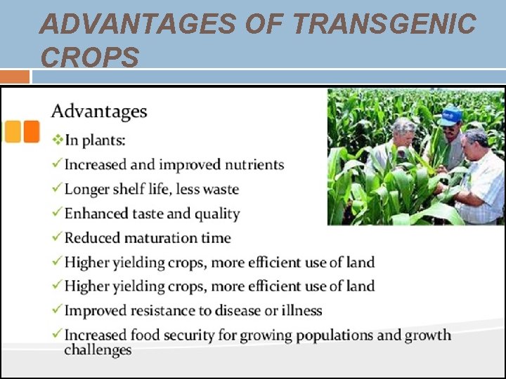 ADVANTAGES OF TRANSGENIC CROPS 
