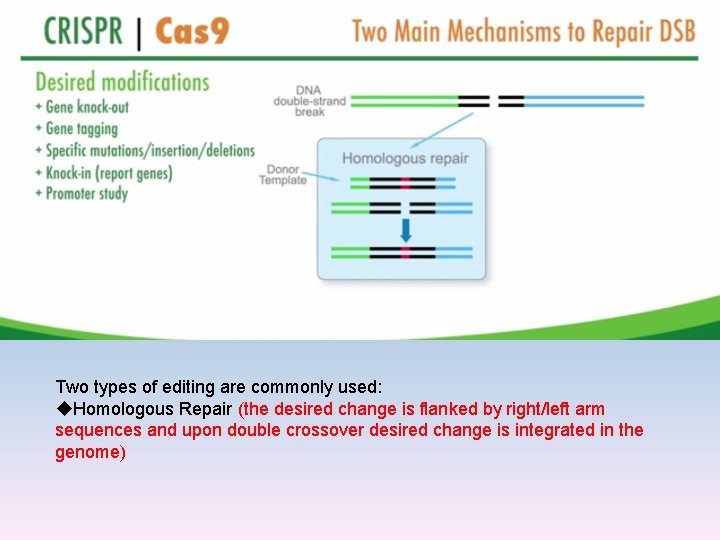 Two types of editing are commonly used: u. Homologous Repair (the desired change is