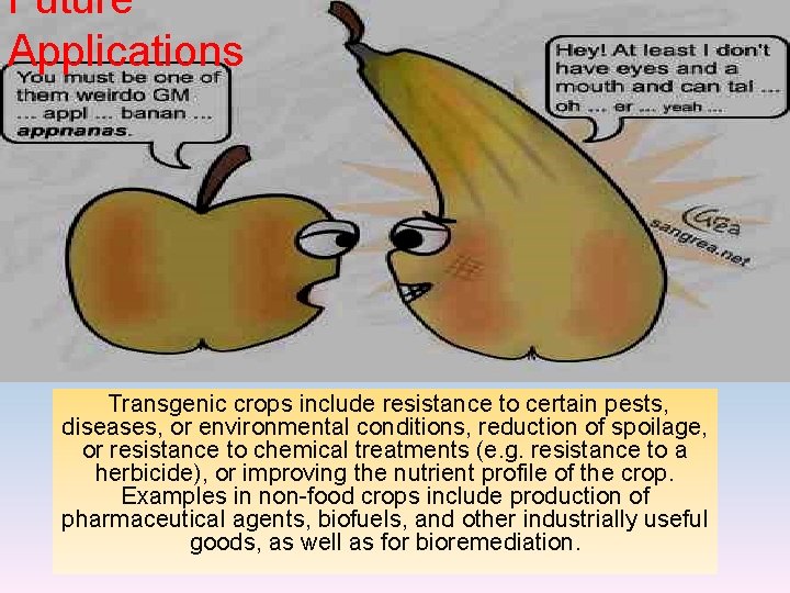 Future Applications Transgenic crops include resistance to certain pests, diseases, or environmental conditions, reduction