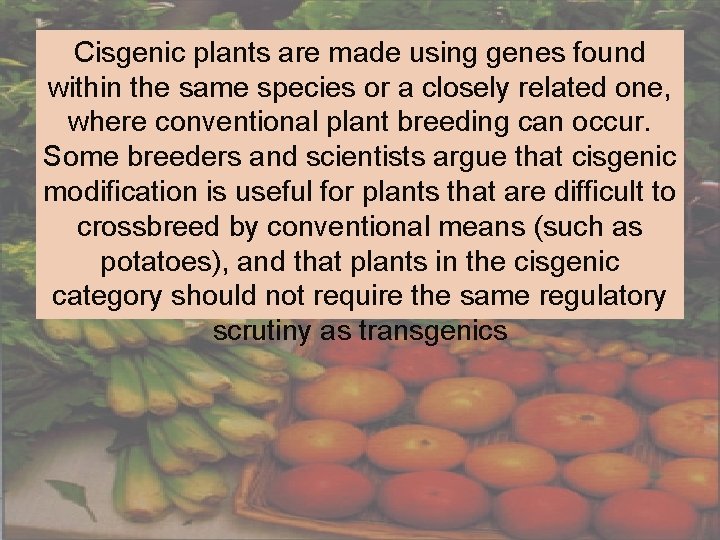 Cisgenic plants are made using genes found within the same species or a closely