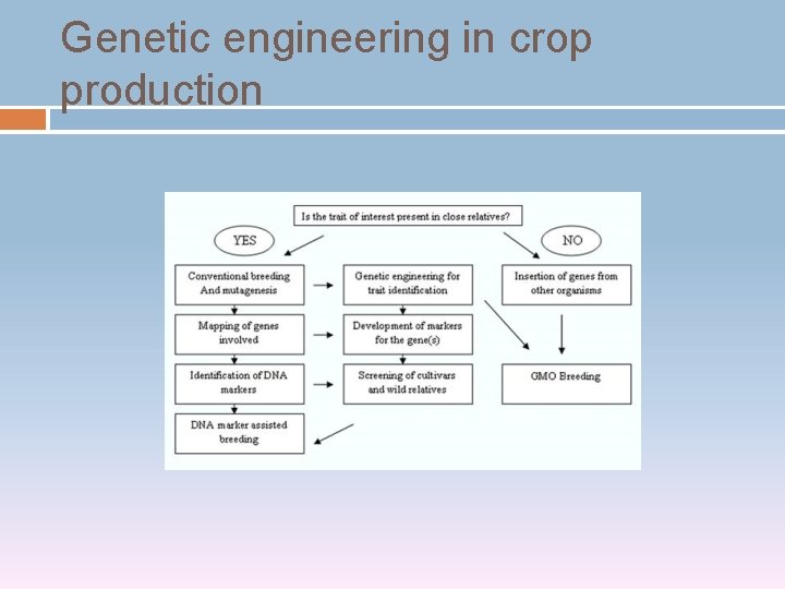 Genetic engineering in crop production 