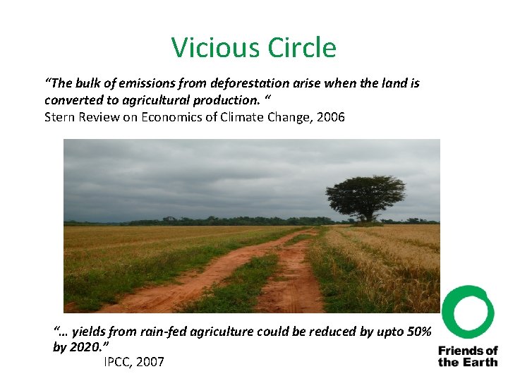 Vicious Circle “The bulk of emissions from deforestation arise when the land is converted