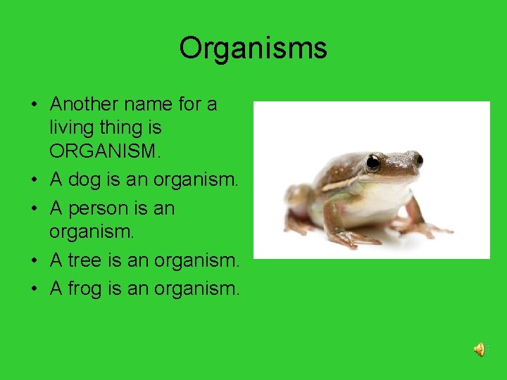 Organisms • Another name for a living thing is ORGANISM. • A dog is