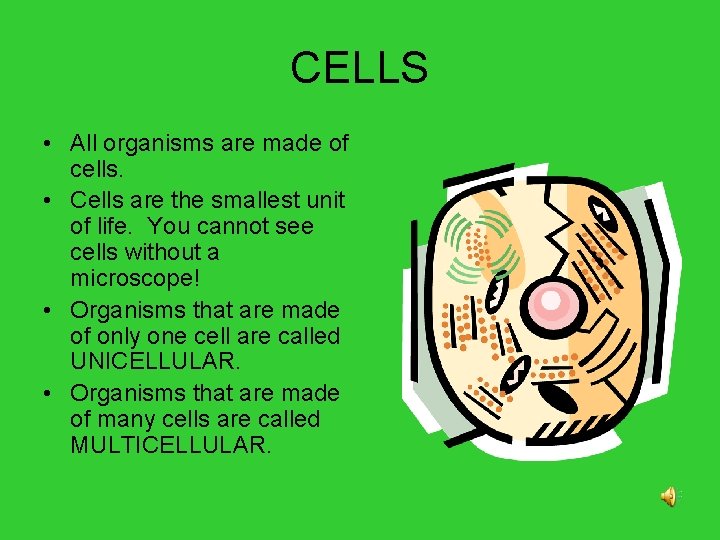 CELLS • All organisms are made of cells. • Cells are the smallest unit