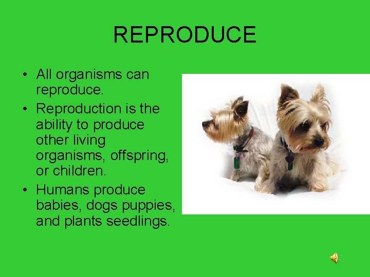 REPRODUCE • All organisms can reproduce. • Reproduction is the ability to produce other