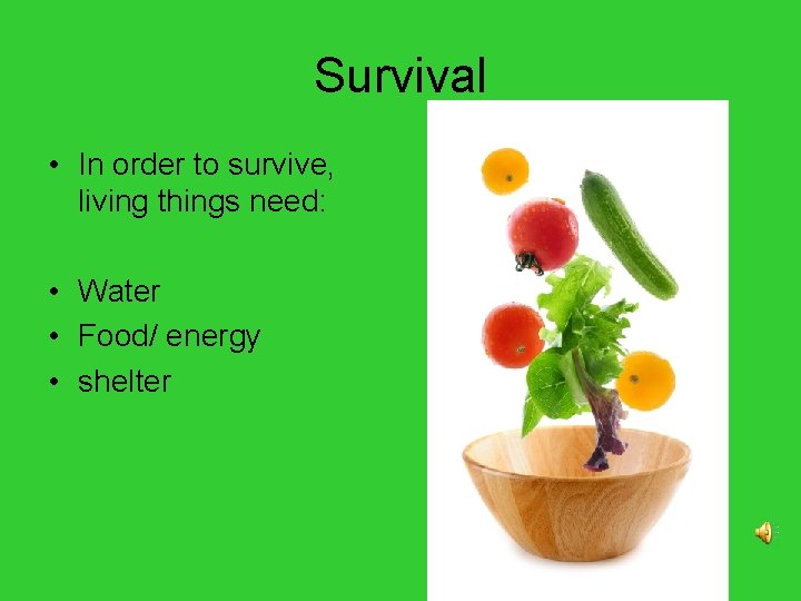 Survival • In order to survive, living things need: • Water • Food/ energy