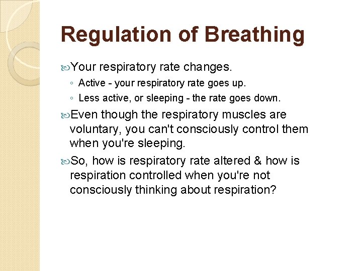 Regulation of Breathing Your respiratory rate changes. ◦ Active - your respiratory rate goes