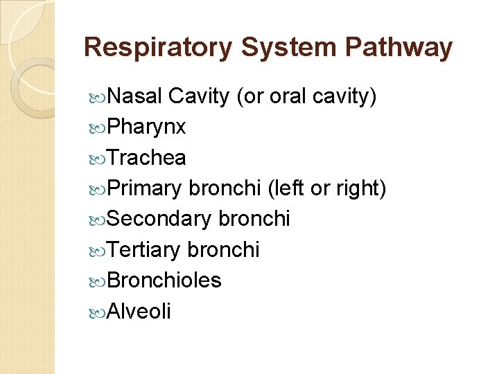 Respiratory System Pathway Nasal Cavity (or oral cavity) Pharynx Trachea Primary bronchi (left or