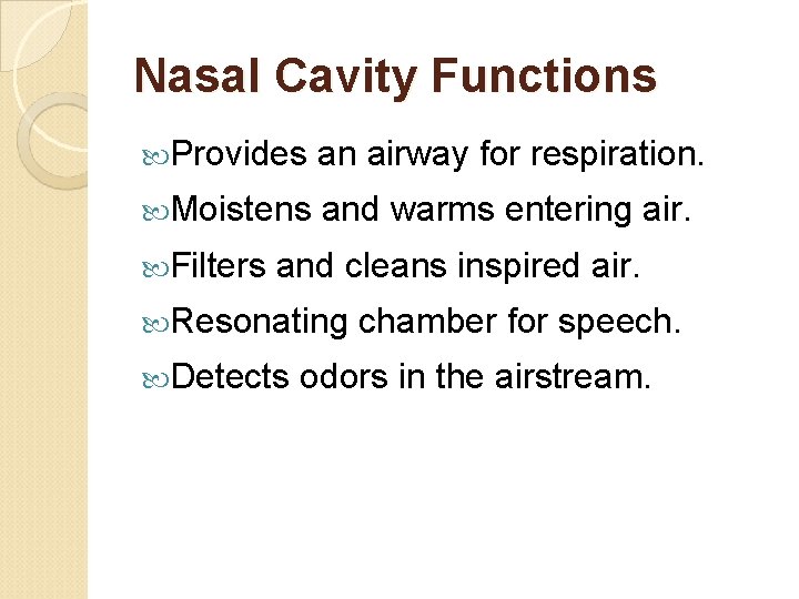 Nasal Cavity Functions Provides an airway for respiration. Moistens and warms entering air. Filters