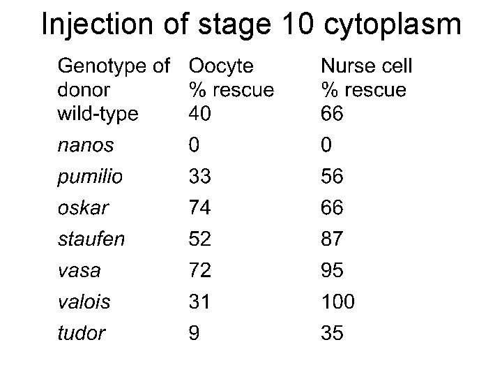 Injection of stage 10 cytoplasm 