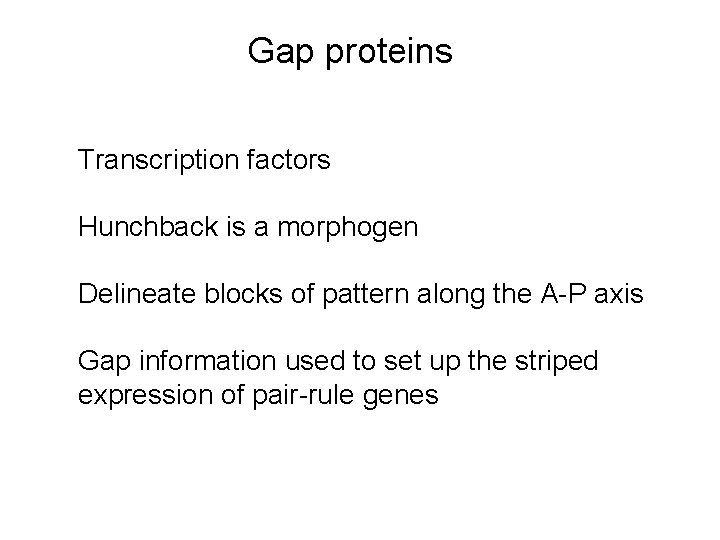 Gap proteins Transcription factors Hunchback is a morphogen Delineate blocks of pattern along the