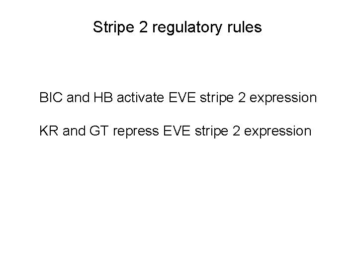 Stripe 2 regulatory rules BIC and HB activate EVE stripe 2 expression KR and