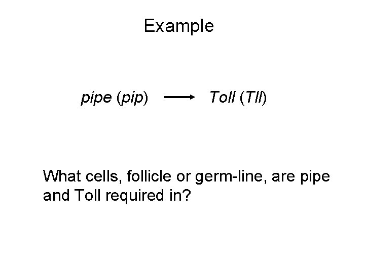 Example pipe (pip) Toll (Tll) What cells, follicle or germ-line, are pipe and Toll