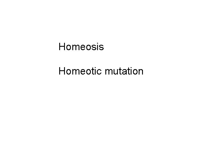 Homeosis Homeotic mutation 