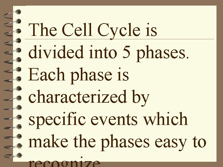 The Cell Cycle is divided into 5 phases. Each phase is characterized by specific