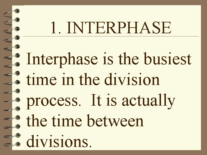 1. INTERPHASE Interphase is the busiest time in the division process. It is actually