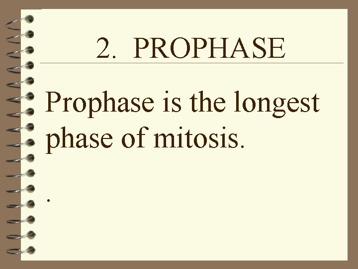 2. PROPHASE Prophase is the longest phase of mitosis. . 