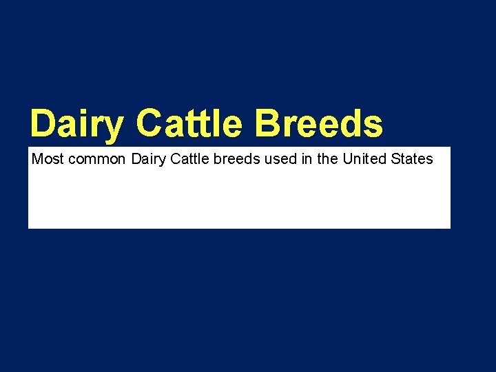 Dairy Cattle Breeds Most common Dairy Cattle breeds used in the United States 