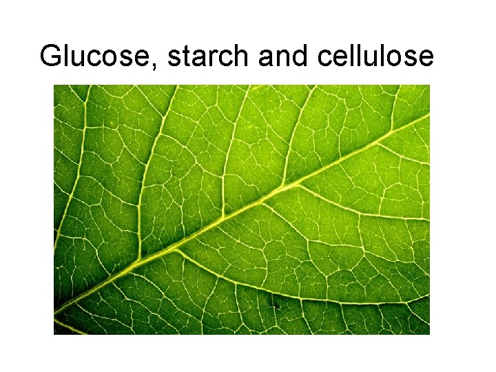 Glucose, starch and cellulose 