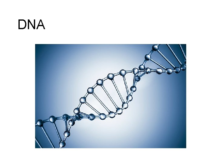 DNA 