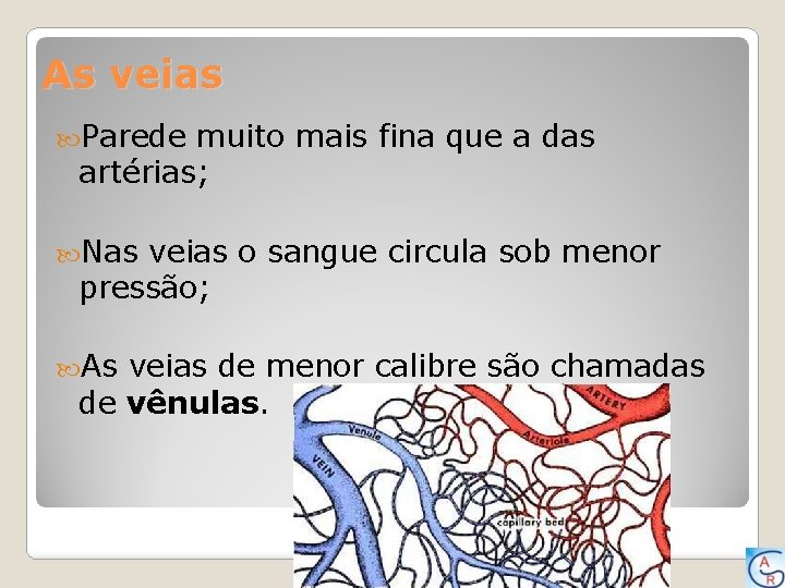 As veias Parede muito mais fina que a das artérias; Nas veias o sangue