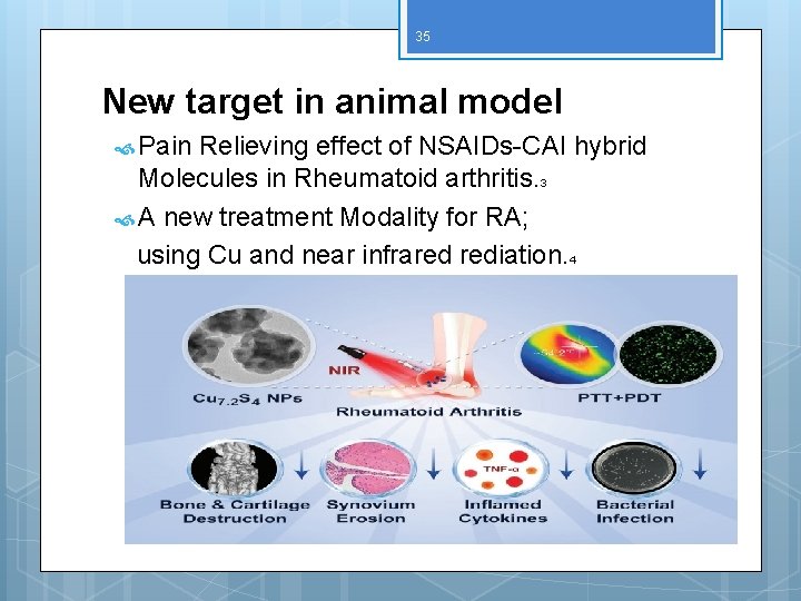35 New target in animal model Pain Relieving effect of NSAIDs-CAI hybrid Molecules in