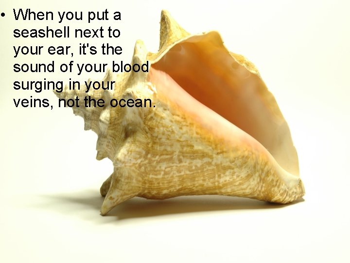  • When you put a seashell next to your ear, it's the sound