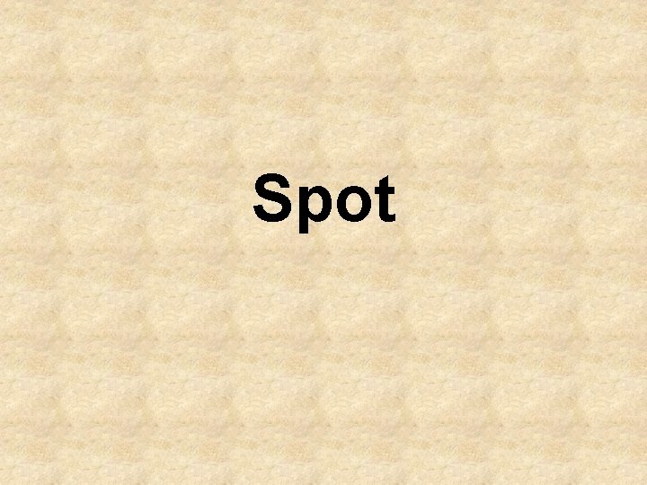 Spot 