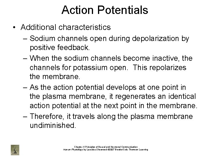 Action Potentials • Additional characteristics – Sodium channels open during depolarization by positive feedback.