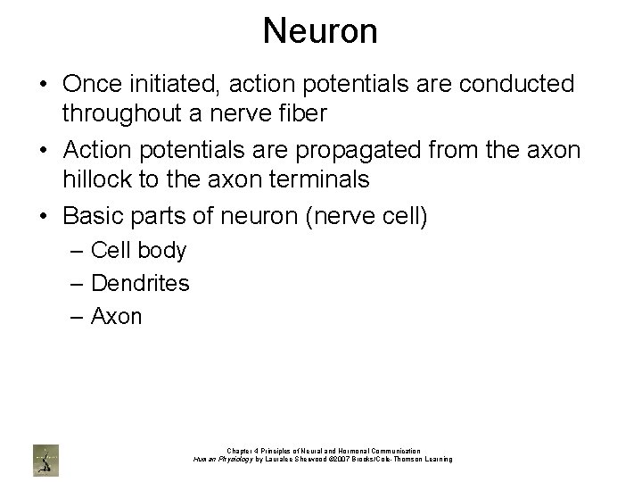 Neuron • Once initiated, action potentials are conducted throughout a nerve fiber • Action