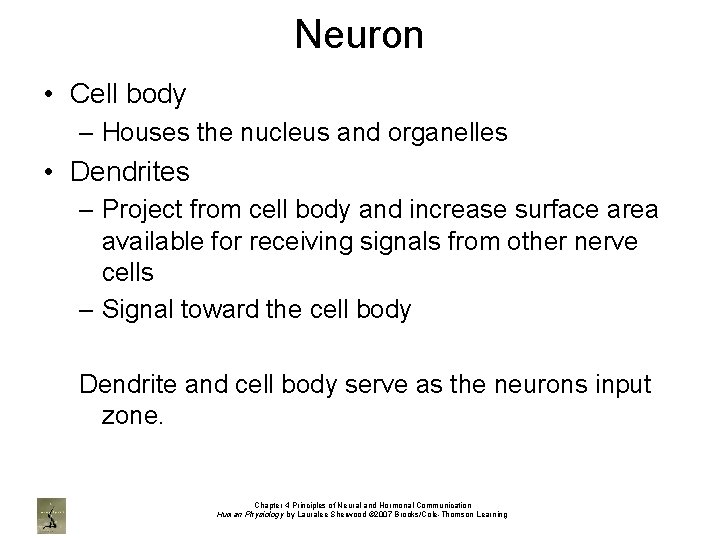 Neuron • Cell body – Houses the nucleus and organelles • Dendrites – Project