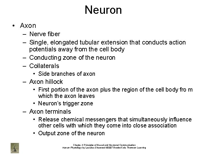 Neuron • Axon – Nerve fiber – Single, elongated tubular extension that conducts action
